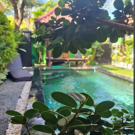 The Green Harmony Villa Homestay